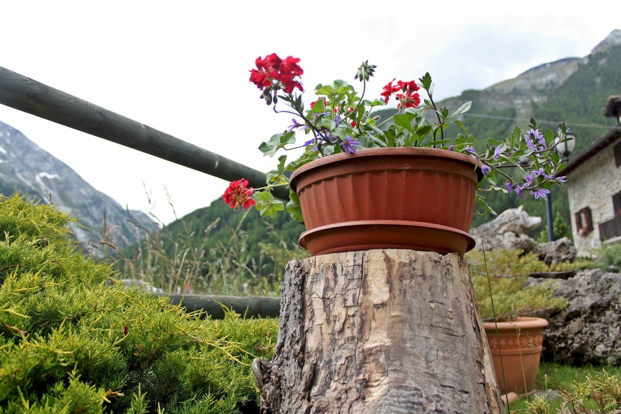 Hotel Bouton D'Or - Cogne Esterno foto